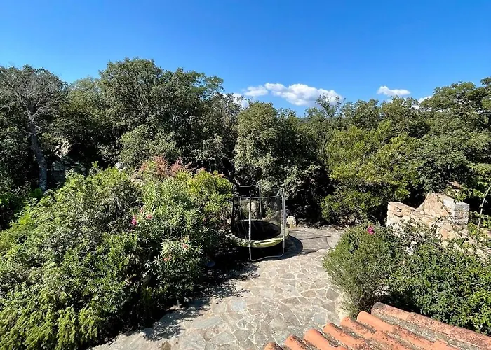 Piana